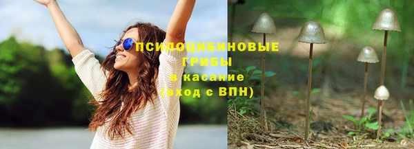 хмурый Абаза