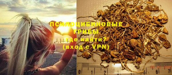 прущий лед Алзамай