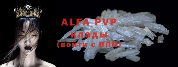 хмурый Абаза