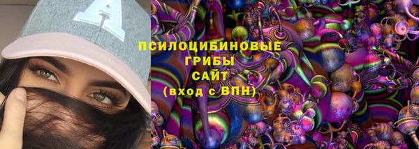 хмурый Абаза