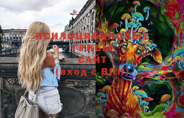хмурый Абаза