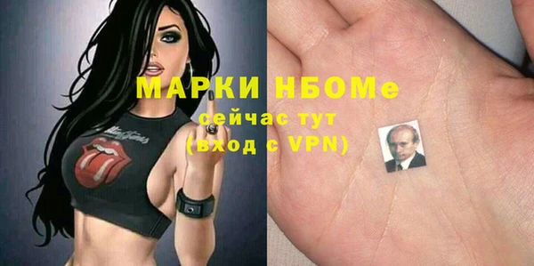 хмурый Абаза